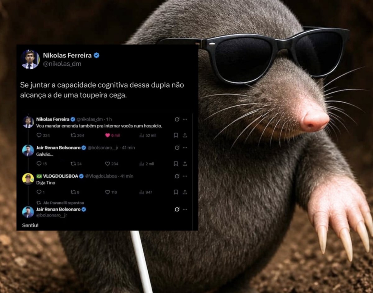 Tweet de Nikolas Ferreira comparando capacidade cognitiva de dupla a uma toupeira cega