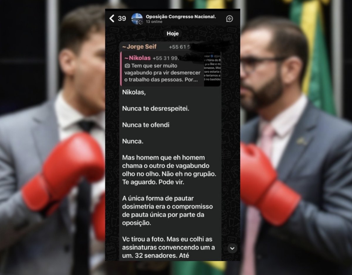Resposta de Jorge Seif a Nikolas Ferreira no grupo de WhatsApp