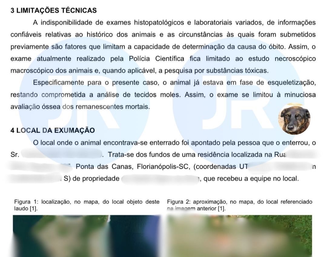 Trecho do laudo pericial da Polícia Científica sobre a exumação do cão Orelha