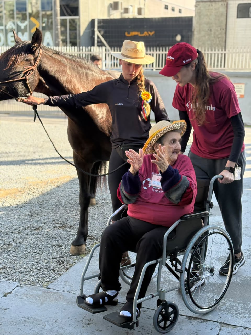 Cavalos Resgate e Athena visitam idosos em Joinville e viraram terapia contra a solidão