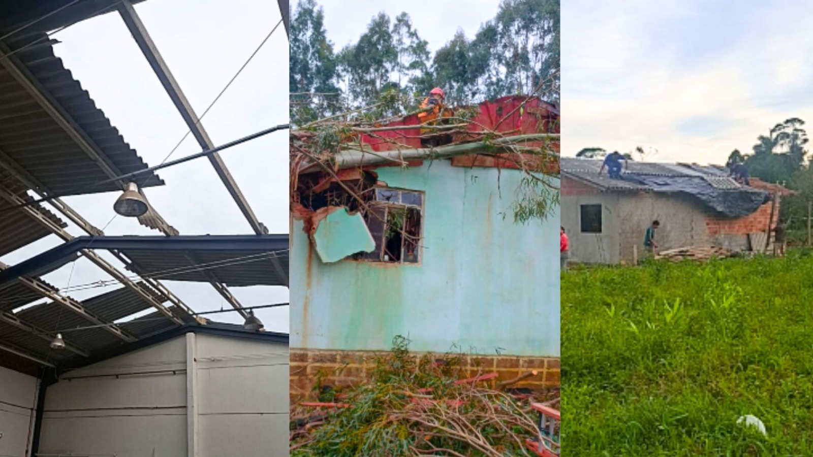 Frente fria avançou com força em SC, com ventos intensos e quedas de árvores
