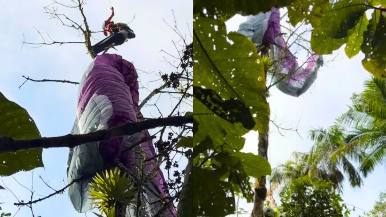 Parapentista ficou preso em árvore e foi resgatado por helicóptero no Morro Azul, em Timbó